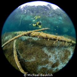 Freshwater diving by Michael Baukloh 